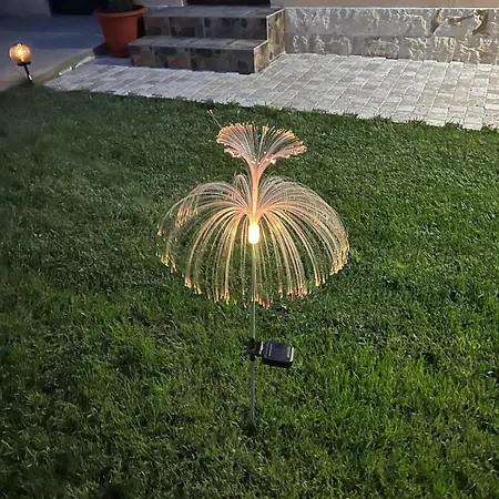 Ubytování v soukromí Jasmina